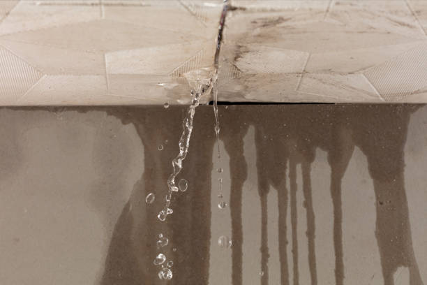 Professional Water Damage Restoration technician working in Westwood, MI